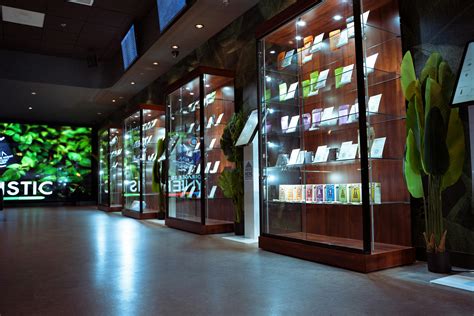 D2 dispensary - Visit D2 Dispensary Cannabis Destination + Drive Thru - Medical's dispensary in Tucson, AZ and order medical cannabis online for pickup. Browse our online dispensary menu for flower, edibles, vape and more with Jane. 